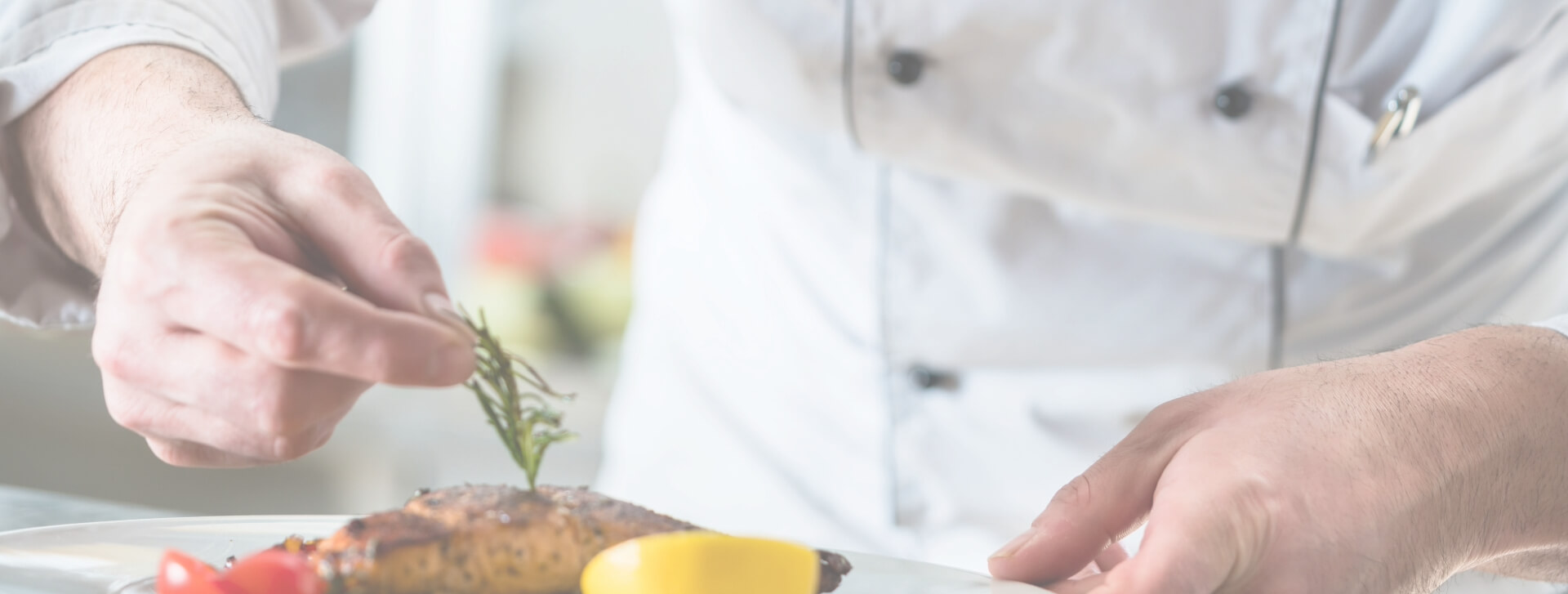 Auf den Spuren der Spitzenköche